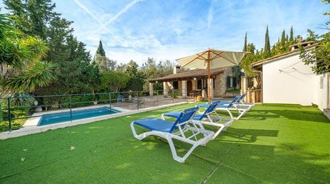 17702196206983686413a53