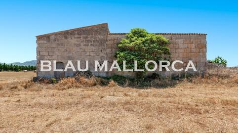 177022068569836c8de2422