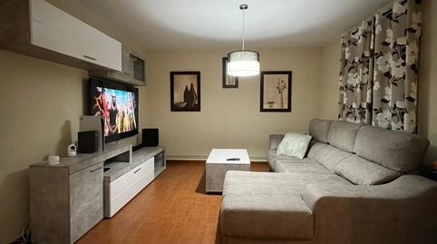 1770226343698382a7cd8ca