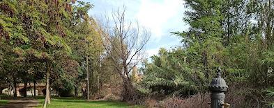 1770230707698393b348ee1