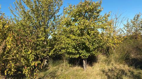 1770231955698398935aa0d