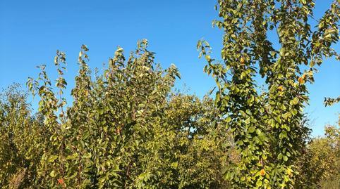 177023195669839894f3dfe