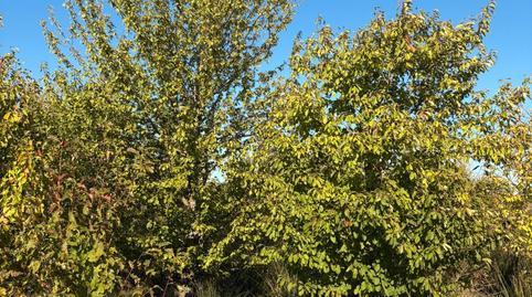 17702319596983989770ae3