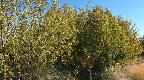 1770231961698398998c9f2