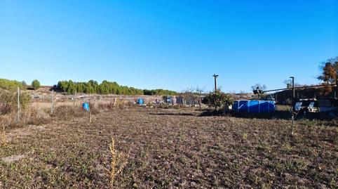 1770232008698398c832a0f