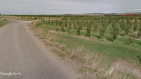 17702341856983a149db4a4