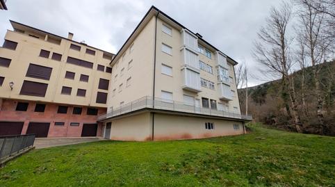 17702434426983c57230348