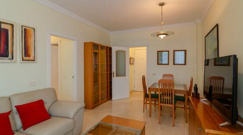 177029075369847e414e91f