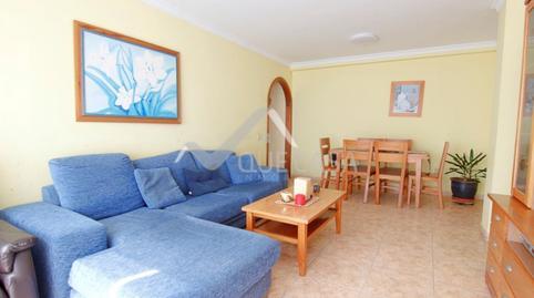 177029841469849c2e4405c