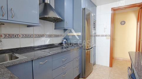 177029841969849c335595b