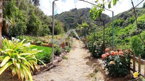 177029853269849ca4174d3