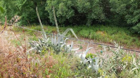 177029853569849ca76fddd