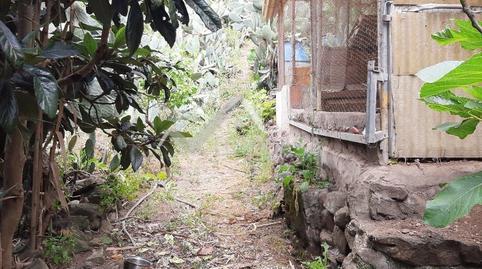 177029853769849ca944ffe