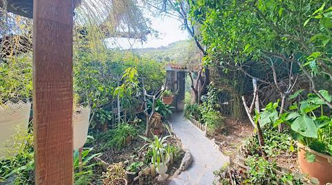 17702996786984a11e53587