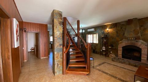 17702997846984a18814f83