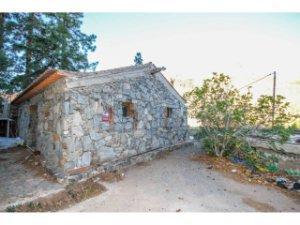 17703004456984a41d11456