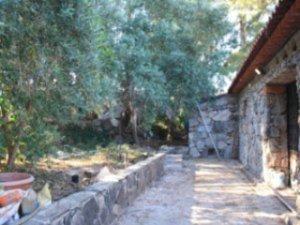 17703004466984a41ee5978