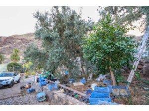 17703004496984a42124967