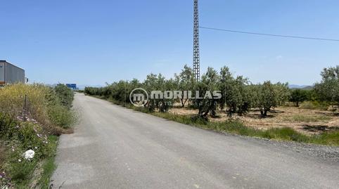 17703086286984c4142d9cb