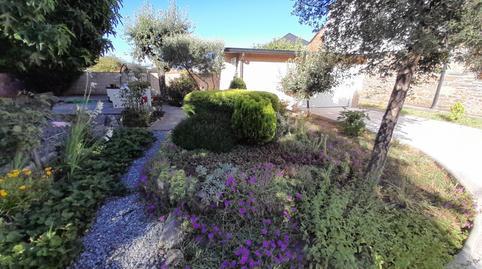 17703105606984cba0c13e3