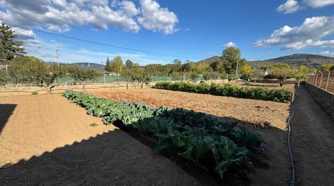 17703107056984cc317443c