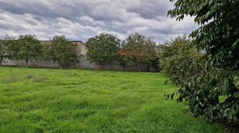 17703128856984d4b56ae98