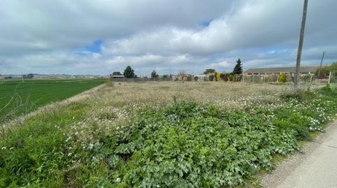 1770330281698518a98dbed