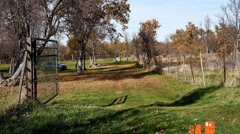 17703332916985246b90046