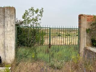 17703345216985293960a19