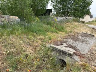 17703345236985293b50cb1