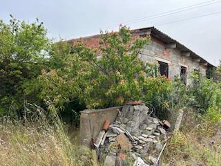 17703345256985293d7cfa9