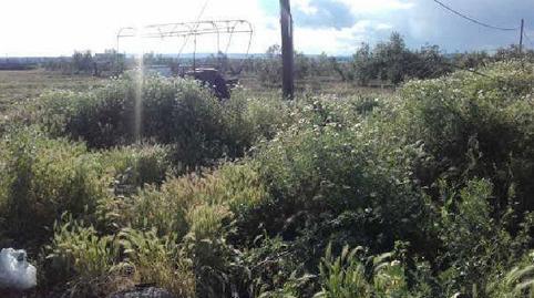 17703740496985c3a102b8d