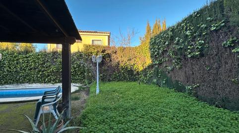 17703741956985c43331975