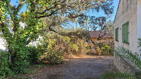 17703751816985c80db30fa