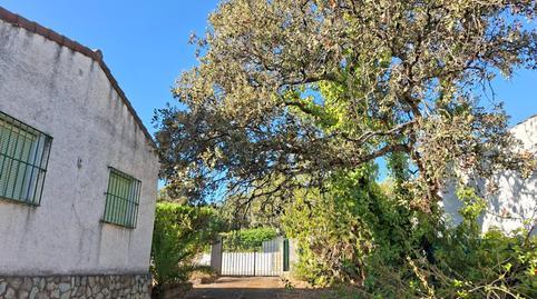 17703751866985c81202ab2