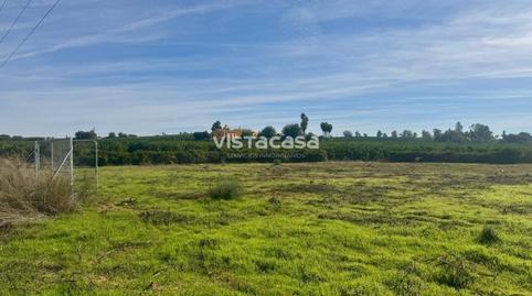 17703755776985c999117ee