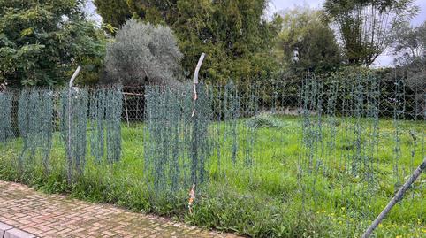 17703768256985ce7969167