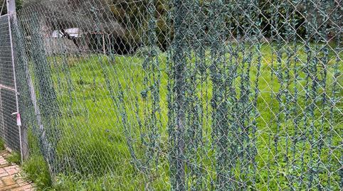 17703768276985ce7b5cfa3