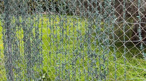 17703768296985ce7d51533