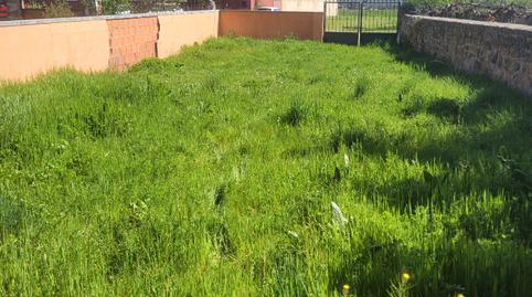 17703824176985e451e0f1d