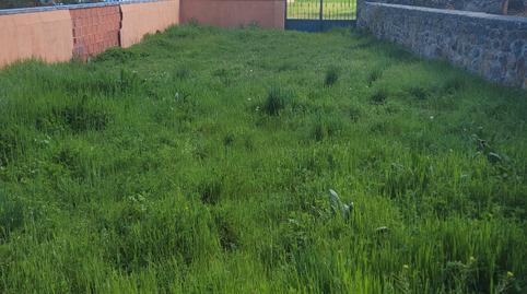 17703824206985e4541da01