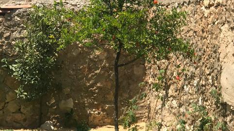 17703825926985e500ce441