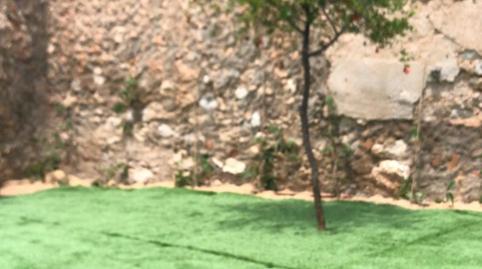 17703825986985e5065dd09