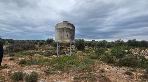 17703831156985e70bbfe0f