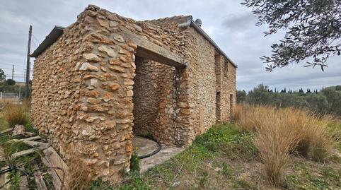 17703831196985e70fecd12