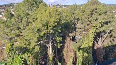 17703846456985ed050d29c