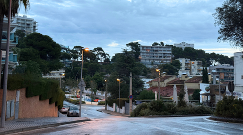 17703861556985f2eb81bb8