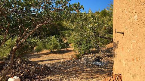 17703869826985f6260fc88