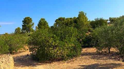 17703869896985f62d69b1b