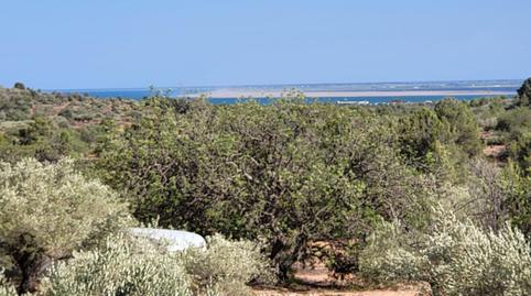 17703885926985fc7016d09